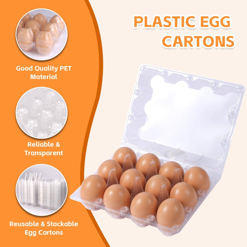 DecarDamai 100 Pack 3x4 Plastic Egg Cartons Cheap Bulk 12 Count Clear, Reusable & Sturdy Design Eggs Carton Bulk Perfect for Family, Farm, Markets, Display (Egg Storage Containers) - Image 4