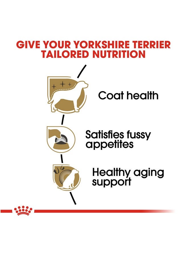 ROYAL CANIN Yorkshire Terrier Adult Dry Dog Food, 10 Lb Bag - Image 3
