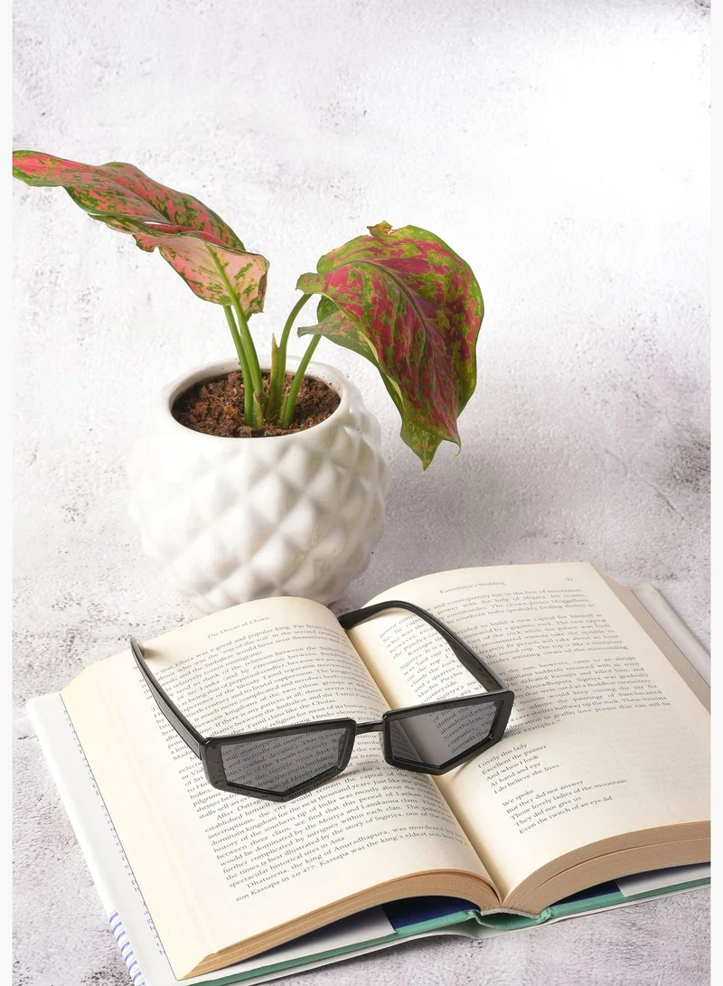 French Accent Men Grey Lens Black Other Sunglasses
