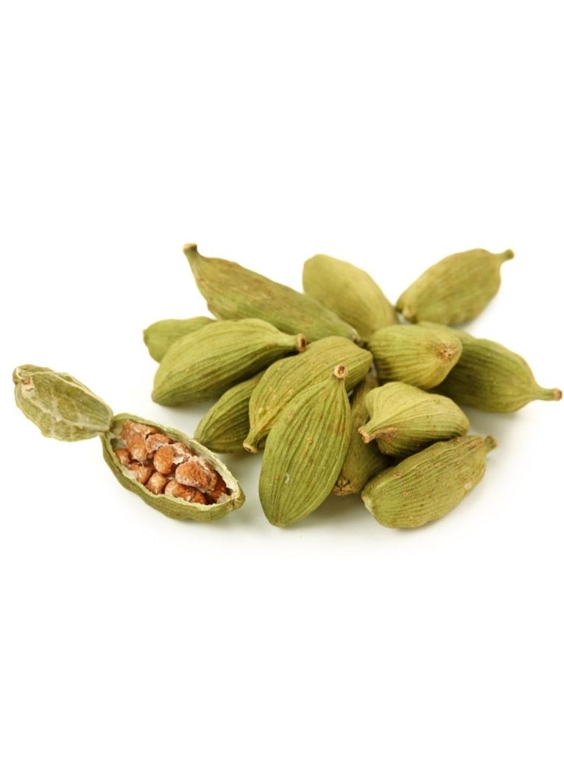 Musk Cardamom 12 ml - Image 3