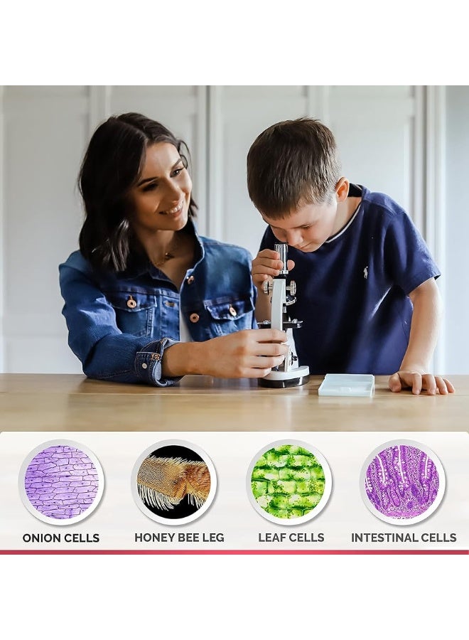 AmScope 1200X 48-pcs Kids Student Beginner Microscope Kit with Slides, LED Light, Carrying Box and Book The World of The Microscope - Image 3