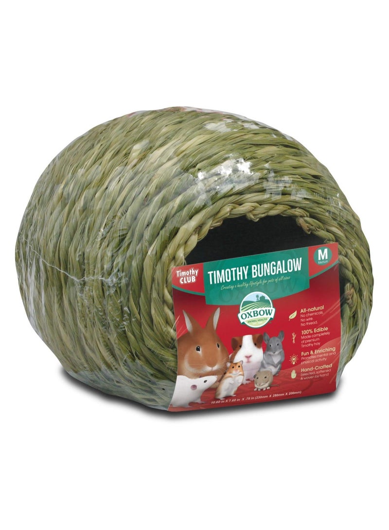 بنجالو تيموثي كلوب - متوسط