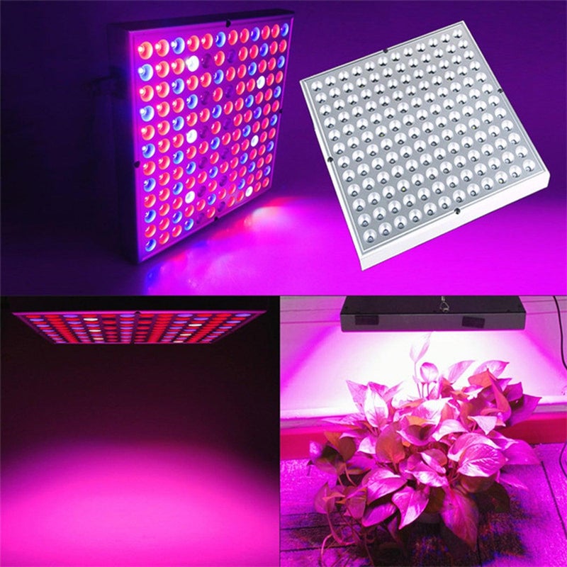 مصباح LED للزراعة الداخلية بقدرة 45 واط، طيف كامل مع الأشعة فوق البنفسجية والأشعة تحت الحمراء، تصميم مريح للعين للاستخدام المنزلي، موفر للطاقة، إضاءة مريحة للمبتدئين - Image 2