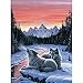 Bits and Pieces 300 Large Piece Glow in The Dark Puzzle for Adults Winters Dawn Snowy Winter Wolf by Artist Jeff Tift 300 pc Jigsaw - Image 2
