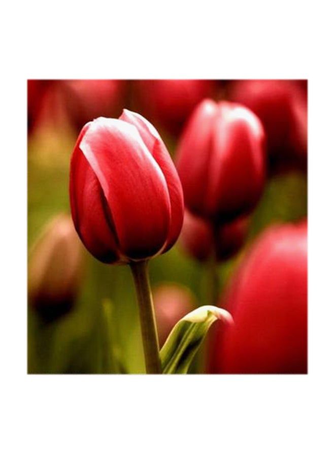 RYN Red Flowers MDF Wall Art Multicolour 30x30centimeter - Image 2