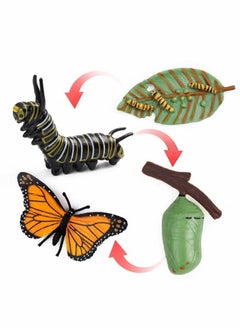 Generic Butterfly Life Cycle Toy Set Butterfly Educational Tools Set Plastic Butterfly Life Cycle Toy by Castwave 4 Pieces  - Image 1