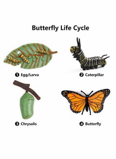Generic Butterfly Life Cycle Toy Set Butterfly Educational Tools Set Plastic Butterfly Life Cycle Toy by Castwave 4 Pieces  - Image 2