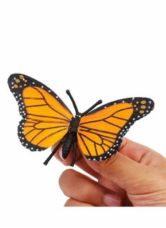 Generic Butterfly Life Cycle Toy Set Butterfly Educational Tools Set Plastic Butterfly Life Cycle Toy by Castwave 4 Pieces  - Image 3