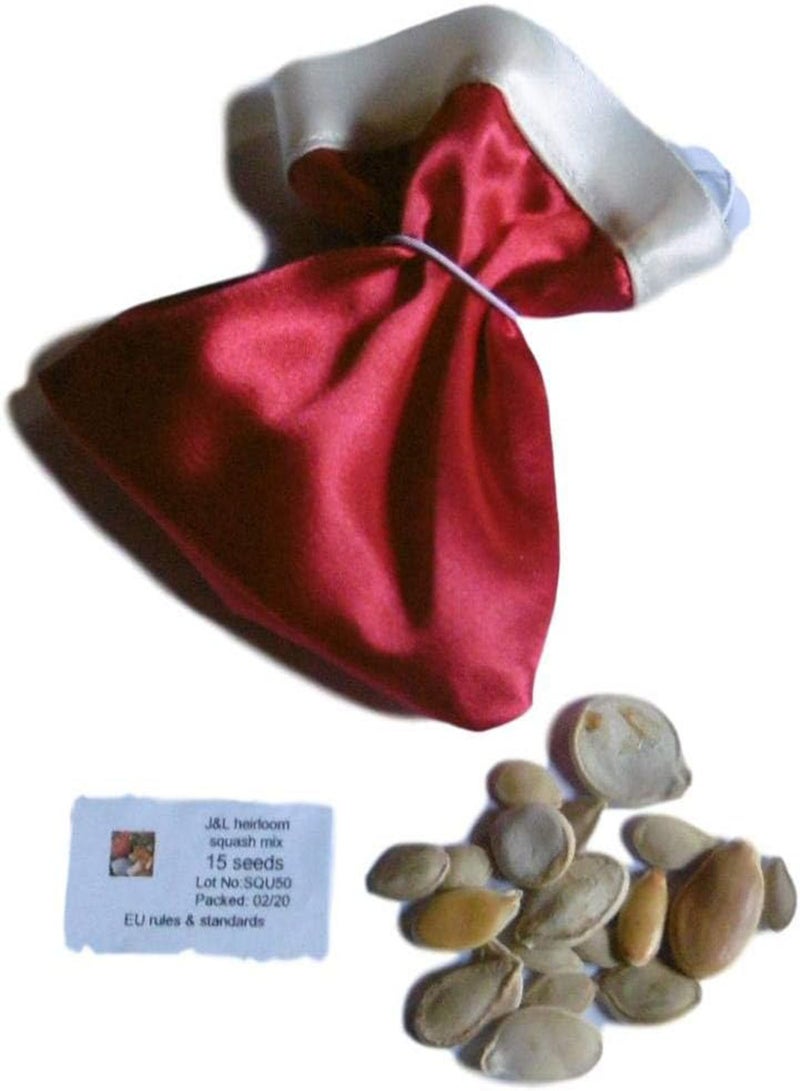 GGOOT Vegetable Seeds Santa's Sack Socking Filler Christmas Tree Decoration 20 Different Seed mixes (Basils) - Image 2