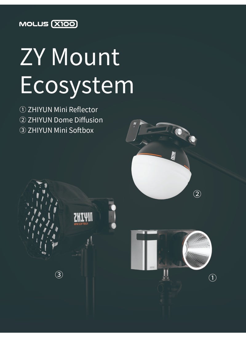 ZHIYUN MOLUS X100 Combo V2 Upgraded Version LED Video Light [Official],Portable 100W 2700K-6500K CRI 95+ TLCI 97+ Bluetooth Brightness Control Continuous Output Lighting for Photography Studio Light