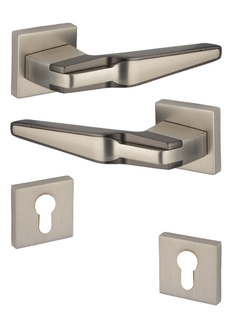 Heavy Door Handles Pair Silver