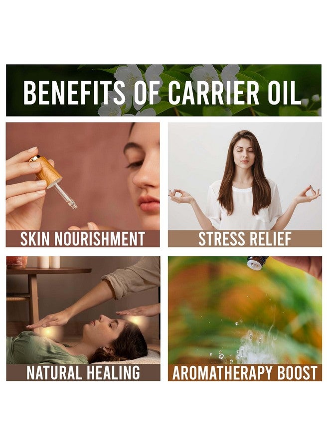 Allin Exporters Cold Pressed Almond Oil Natural & Virgin for Hair Face Skin & Massage Natural Therapeutic Grade Oil (250 ML) - Image 5