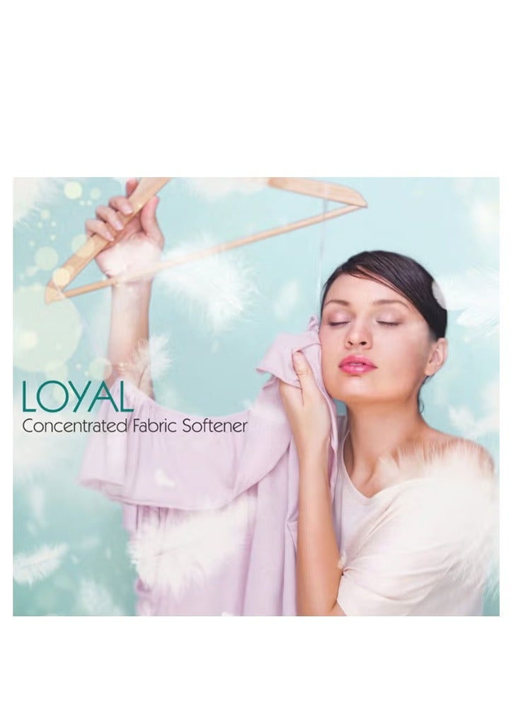 Loyal Fabric Softener & Freshener Concentrated, Blue Petals 150Washes 3000ml - Image 3