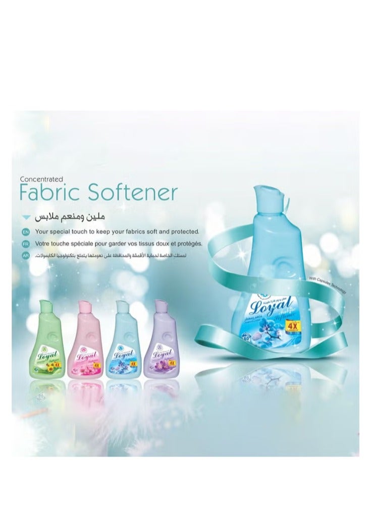 Loyal Fabric Softener & Freshener Concentrated, Blue Petals 150Washes 3000ml - Image 4
