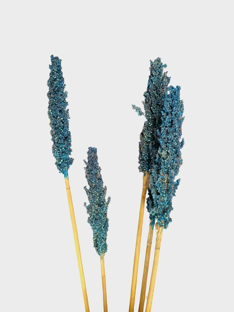 RUKDA® Dried Blue Sorghum Flower Sheaves || Stalks Dried Flower Dry Grass Bouquet for Wedding Table Centerpieces, Home & Office Decoration - 2pcs - Image 3