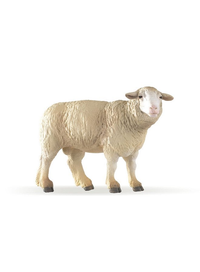 Papo بابو - تمثال مطلي يدويًا - أصدقاء المزرعة - خروف - 51041 - قابل للجمع - للأطفال - مناسب للأولاد والبنات - من 3 سنوات فما فوق - Image 1