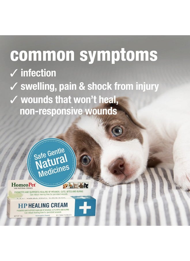HomeoPet - Hp Healing Cream, Natural Support For Pet Wound Healing, SkinHealing Cream For Dogs And Cats, 14 Grams - Image 1