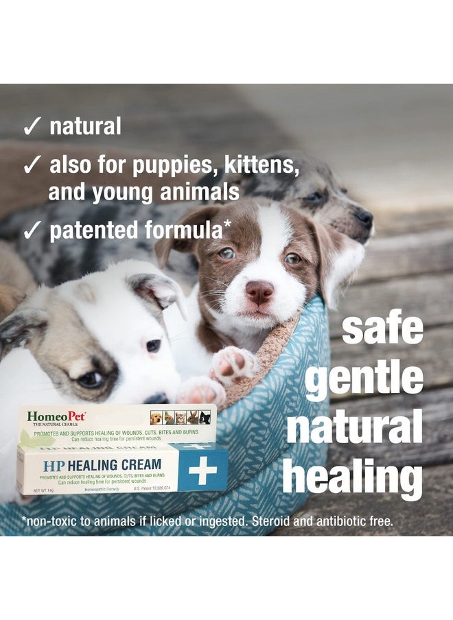 HomeoPet - Hp Healing Cream, Natural Support For Pet Wound Healing, SkinHealing Cream For Dogs And Cats, 14 Grams - Image 1
