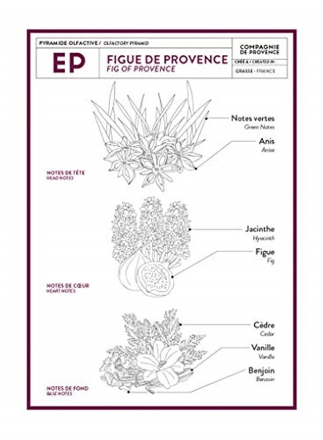 La Compagnie de Provence Compagnie de Provence Savon de Marseille Extra Pure Liquid Soap - Fig of Provence - 10 Fl Oz Plastic Pump Bottle