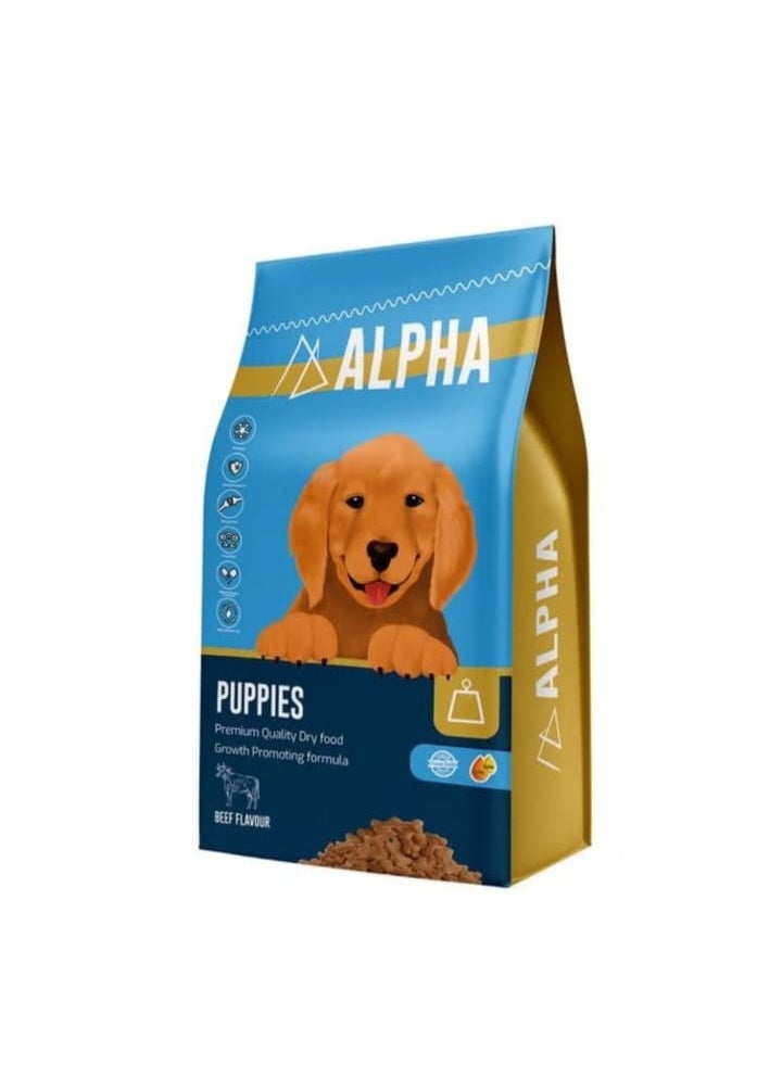 Alpha puppies
