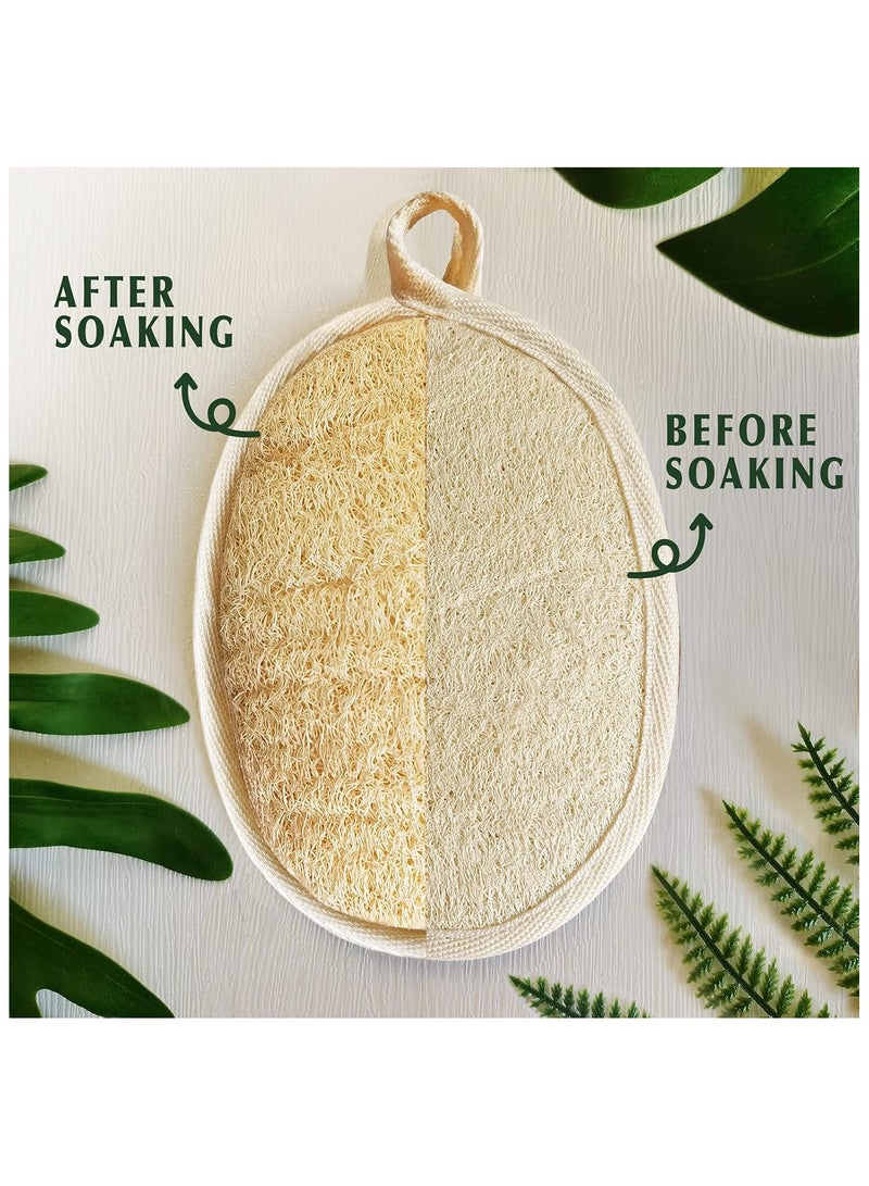 Three-piece natural loofah body brush set. Exfoliating body scrub kit crafted from Egyptian natural loofah, suitable for both men and women, for facial and full-body care. - Image 5