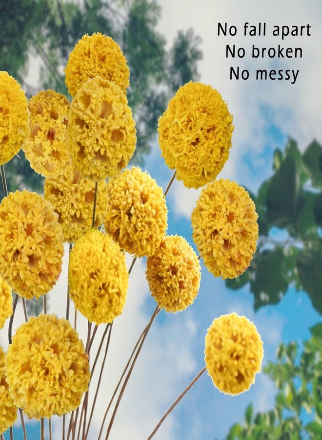 Phliofd 24 PCS Dried Craspedia Billy Balls Flowers, 18” Natural Dried Flowers Bouquet for Vase Floral Arrangements Wedding Table Centerpieces Party DIY Home Decor (Yellow) - Image 4