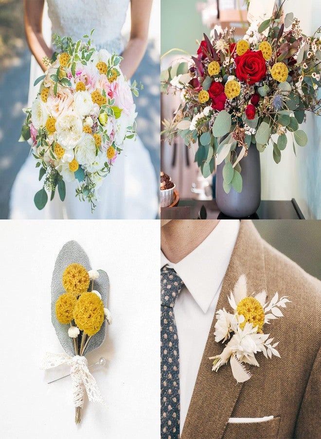 Phliofd 24 PCS Dried Craspedia Billy Balls Flowers, 18” Natural Dried Flowers Bouquet for Vase Floral Arrangements Wedding Table Centerpieces Party DIY Home Decor (Yellow) - Image 2