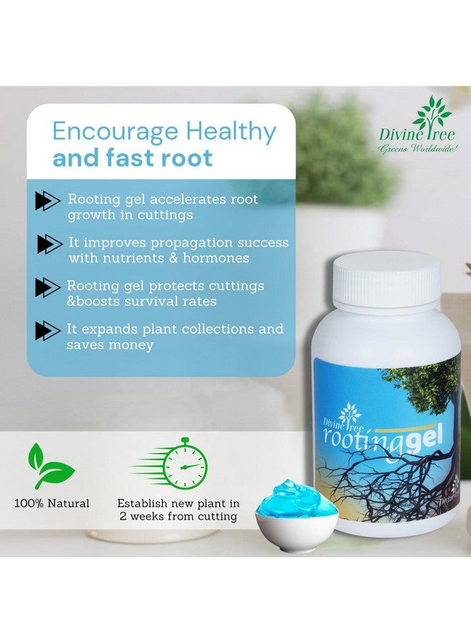 DIVINE TREE Rooting Gel for Plants Cuttings and Root Hormone Stimulator for Stronger Roots | Fast Root Starter | Rapid Rooting Gel Best for Hardwood, Semi-hardwood and Softwood Plant Cutting (100 ml) - Image 5