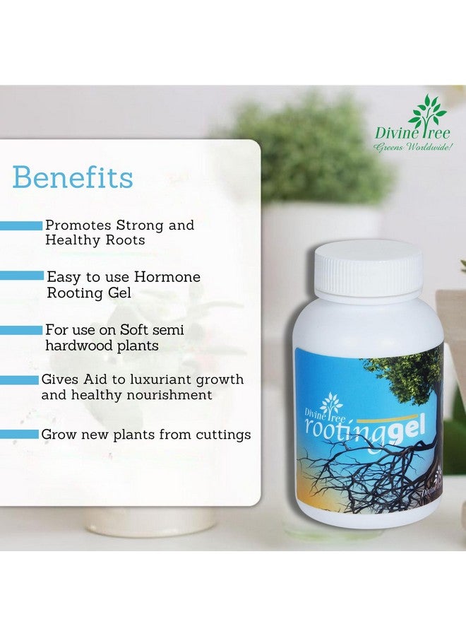 DIVINE TREE Rooting Gel for Plants Cuttings and Root Hormone Stimulator for Stronger Roots | Fast Root Starter | Rapid Rooting Gel Best for Hardwood, Semi-hardwood and Softwood Plant Cutting (100 ml) - Image 4
