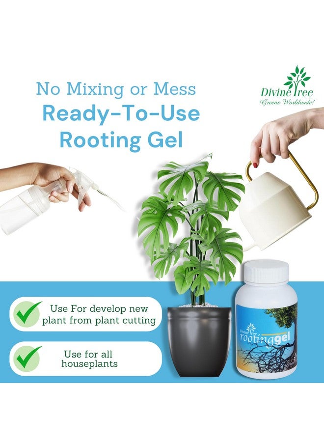 DIVINE TREE Rooting Gel for Plants Cuttings and Root Hormone Stimulator for Stronger Roots | Fast Root Starter | Rapid Rooting Gel Best for Hardwood, Semi-hardwood and Softwood Plant Cutting (100 ml) - Image 3