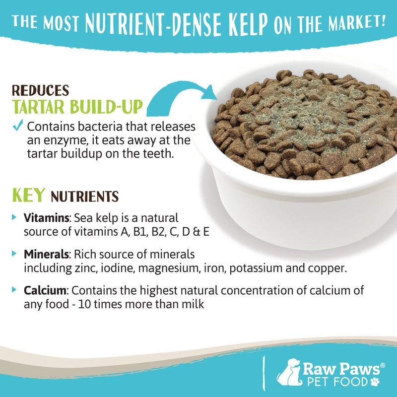 Raw Paws Organic Kelp Powder for Dogs & Cats (16-Ounce) - Supports Thyroid, Digestive & Immune Health - Dried Sea Kelp for Dogs - Seaweed Powder Supplement - Image 5