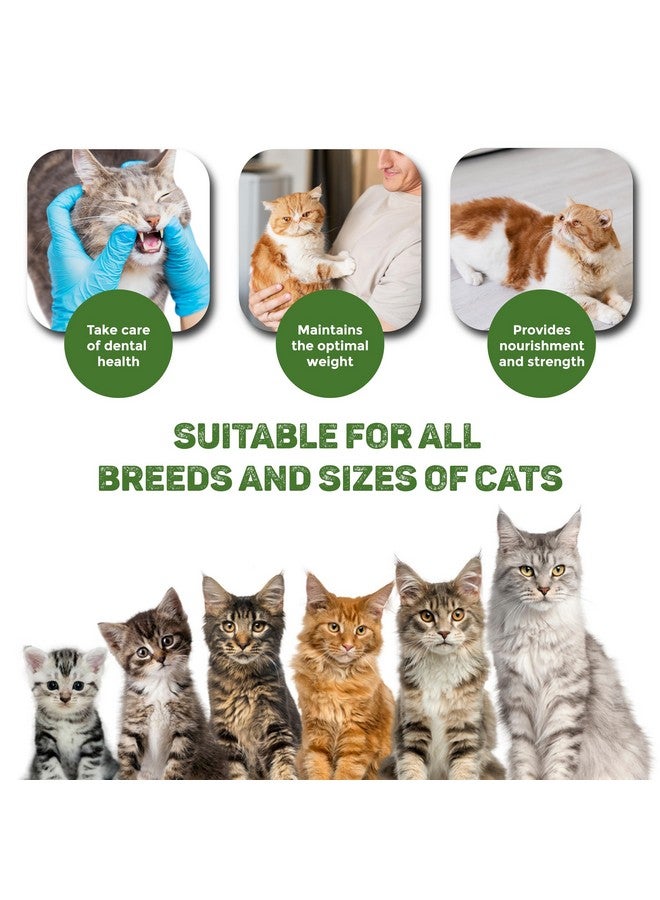 تريكسي مجموعة مكافآت القطط من أعواد الدجاج الصغيرة الفاخرة ووجبة خفيفة من الدجاج الكريمي، مكافآت غنية بالعناصر الغذائية للقطط، مناسبة لجميع السلالات - (عبوة من قطعتين) - Image 5