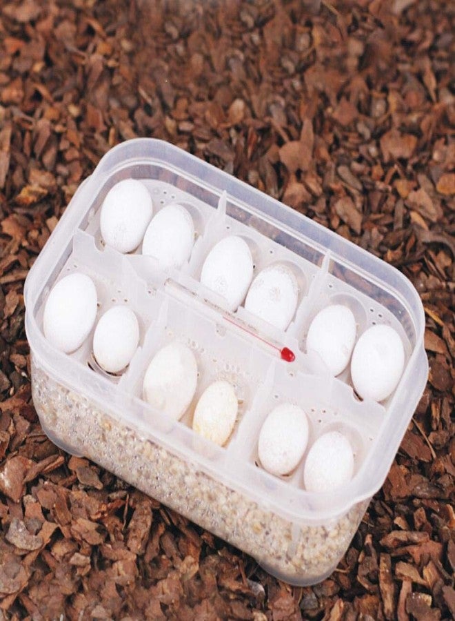 Zerodis Reptile Breeding Box, Plastic Reptile Egg Incubators Hatchery Box with Transparent Lid for Hatching, Lizards, Lions Mane, Reptiles - Image 5