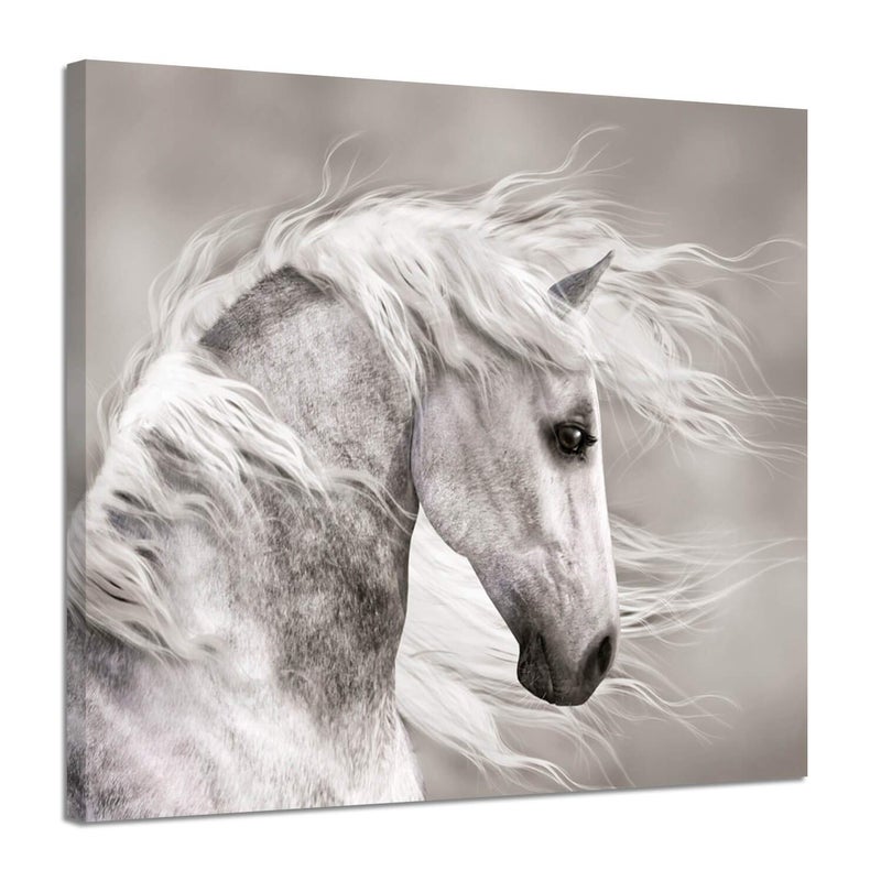 Hardy Gallery Animals Artwork Wildlife Picture Painting: Horse Head Graphic Art Print Wall Art for Wall Decor (24" x 18") - Image 1