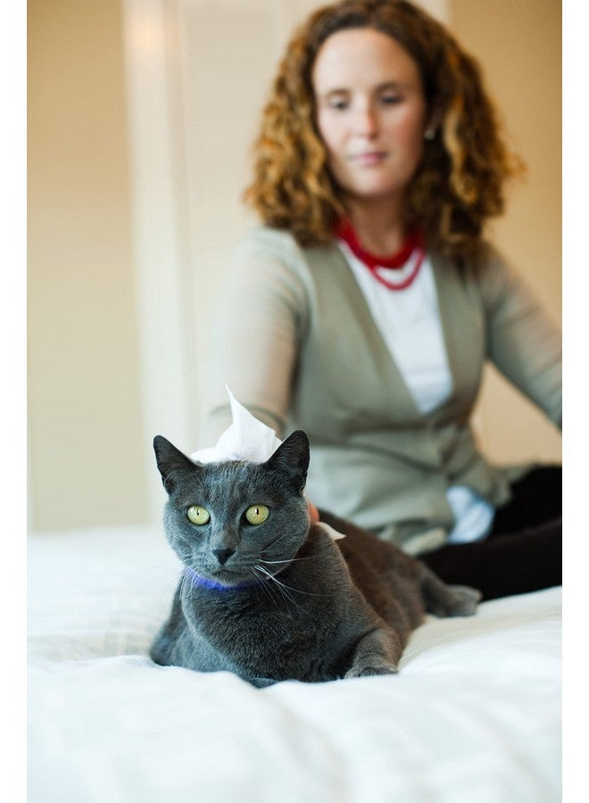 ايرث باث مناديل العناية بالشوفان والصبار - مناديل للكلاب للكفوف والأرداف، أفضل مناديل للحيوانات الأليفة للكلاب والقطط، تساعد في تخفيف الحكة وجفاف الجلد، صُنعت في الولايات المتحدة الأمريكية، خالية من القسوة - فانيليا ولوز، 100 قطعة (عبوة واحدة) - Image 5