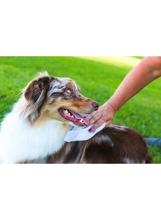 ايرث باث مناديل العناية بالشوفان والصبار - مناديل للكلاب للكفوف والأرداف، أفضل مناديل للحيوانات الأليفة للكلاب والقطط، تساعد في تخفيف الحكة وجفاف الجلد، صُنعت في الولايات المتحدة الأمريكية، خالية من القسوة - فانيليا ولوز، 100 قطعة (عبوة واحدة) - Image 4