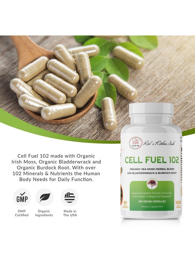 Red's Kitchen Sink Cell Fuel 102 Sea Moss Capsules | Made with Irish Sea Moss Bladderwrack and Burdock Root | Organic Sea Moss | 120 Seamoss Pills per Jar - 60 Servings / 2 Month Supply - Image 3