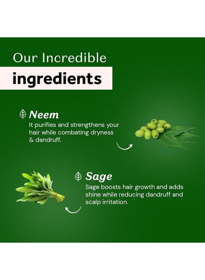 Atulya Neem & Sage Hair Mask for Controlling Dandruff & White Flakes | Anti-Dandruff Hair Mask | Hair Mask for Reducing Hair Fall | Paraben, Sulphate & Silicone Free | All Hair Types | 200gm - Image 3