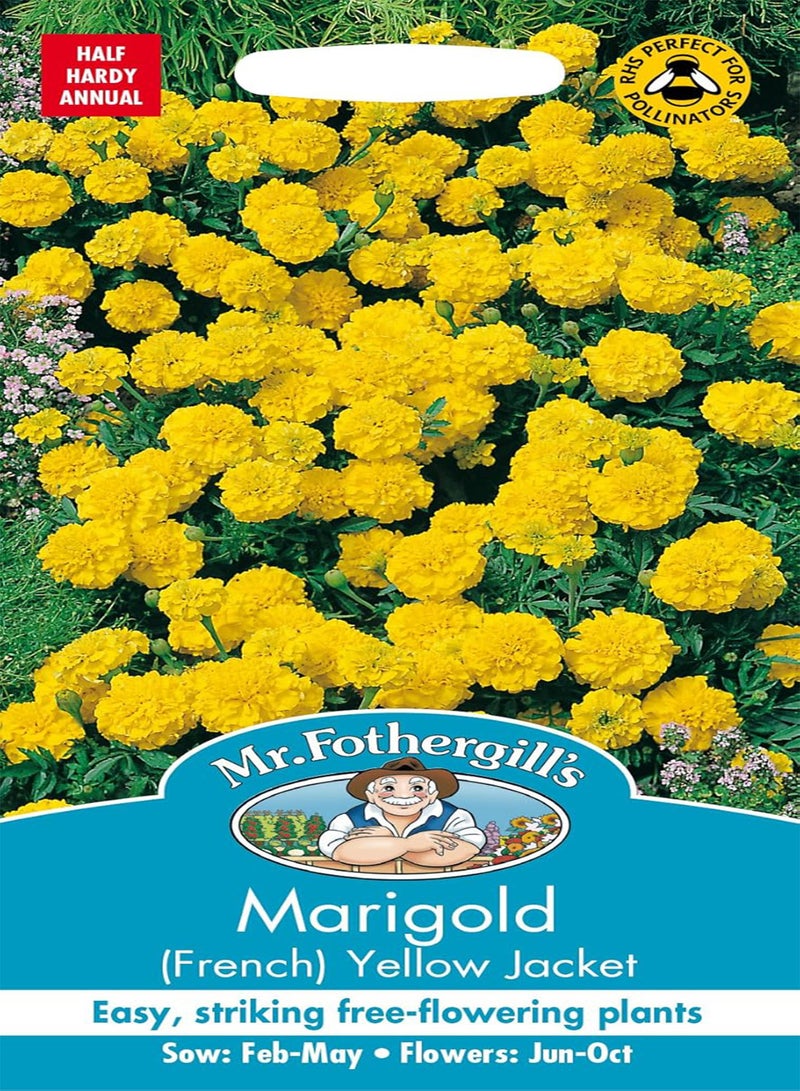 GGOOT Mr. Fothergill's Marigold French Yellow Jacket Flower Seeds  - Image 1