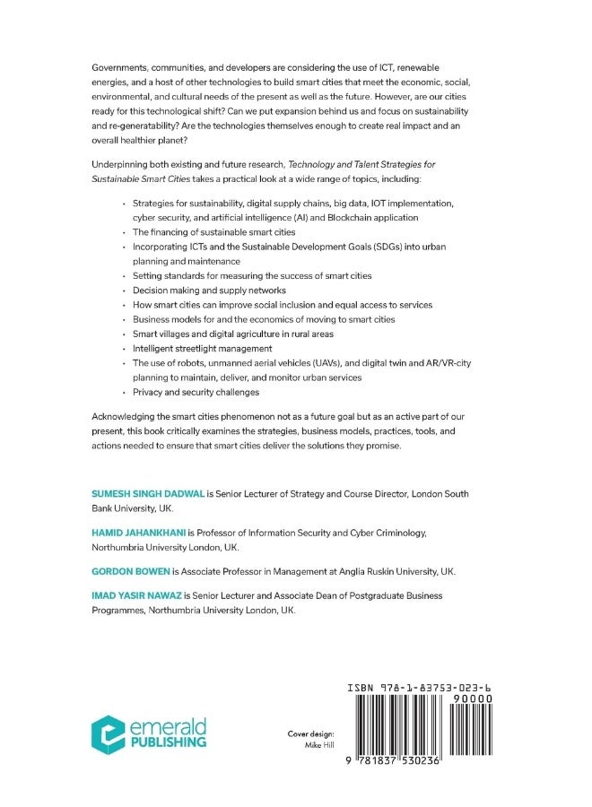 Technology and Talent Strategies for Sustainable Smart Cities: Digital Futures - Image 2