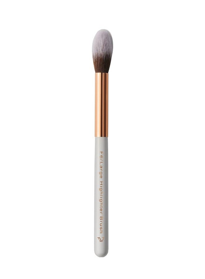 Pigment Play Large Highlighter Brush (Professional Face Highlighter Brush for Blending | Soft Bristles, Cruelty Free, No Animal Fibre | Pack of 1), Multi (Large Highlighter Brush) - Image 1