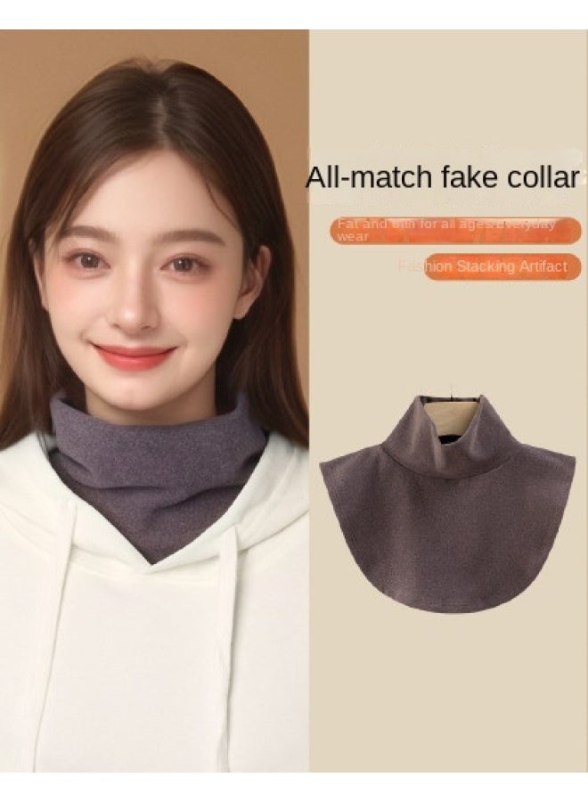 pincai High Neck Neck Warmer Pullover False Collar Women's Versatile False Collar Autumn Winter Sweater Decorative Collar Versatile - Image 1