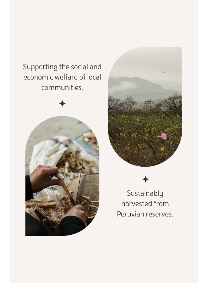 أعواد تلطيخ لونا سوندارا بالو سانتو من بيرو - جودة محصودة بشكل مستدام منتقاة يدويًا - 100 جرام (حوالي 13-18 عصا) - view 5