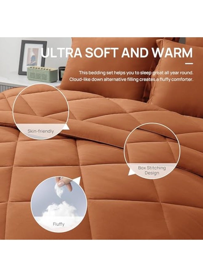 سيجنولا لحاف سيجنولا دايموند مايكروفايبر ثقيل، 3.5 كجم، طقم من 1 لحاف (240 سم × 250 سم)، بطانية سرير مزدوجة فائقة النعومة للشتاء لون تيراكوتا - Image 4