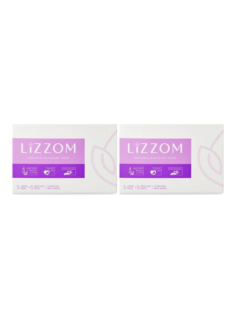 LiZZOM Ultra thin (Pack of 2) Mix Pads with wings (10 large_10 Regular pc) Dry feel | Plastic free | Antibacterial | Odor & Rash free.