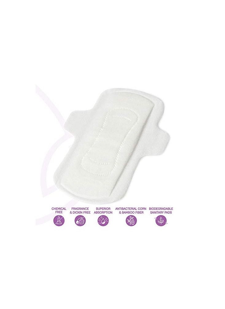 LiZZOM Ultra thin (Pack of 2) Mix Pads with wings (10 large_10 Regular pc) Dry feel | Plastic free | Antibacterial | Odor & Rash free.