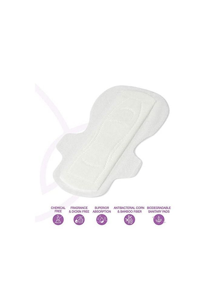 LiZZOM Ultra thin (Pack of 2) Mix Pads with wings (10 large_10 Regular pc) Dry feel | Plastic free | Antibacterial | Odor & Rash free.