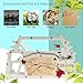 EXBEPE Ant Farm CastleAnt Colony Habitat Observation Tool KitsBug Terrarium HouseNature Learning Toys Education Science Kit - Image 4