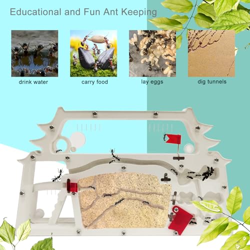 EXBEPE Ant Farm CastleAnt Colony Habitat Observation Tool KitsBug Terrarium HouseNature Learning Toys Education Science Kit - Image 5