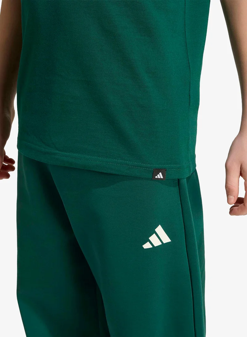 Adidas CGREEN Youth Stadium Graphic T-Shirt  | Best Price UAE